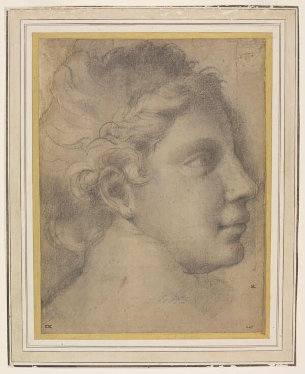 Drawing — Raphael