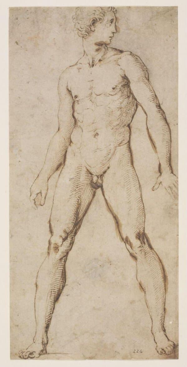 Drawing — Raphael