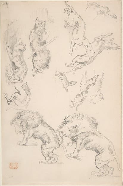 Studies of Animals — Eugène Delacroix